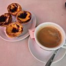 노바도라 | 13일간의 포르투갈 여행(25.10.06~10.19)을 다녀와서