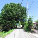 용바위경로당 이미지