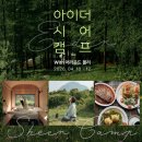 어라운드폴리캠프 이미지