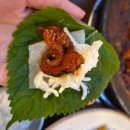 을지로 쭈꾸미 맛집 용광쭈꾸미 서울 3대 쭈꾸미 후기