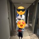 나인트리 판교 수영장 후기 아이와 함께 호캉스 수영장 있는 호텔
