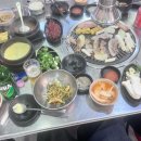 우야우야