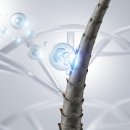 닥터로피부과의원 이미지