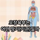 오장칠부 이미지
