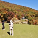 참밸리CC Daum카페
