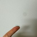 오렌즈 렌즈 습윤제 “오프레쉬 쿠션드롭”내돈내산 솔직후기