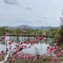 천상운집 이미지