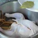황금삼계탕 Daum카페