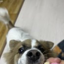 천광유치원 이미지