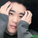 르보우