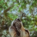 안산동물약국 이미지