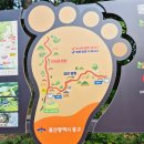 황방산 맨발걷기 | 울산 맨발걷기 명소 황방산 맨발 등산로 황토길 세족장 이용후기