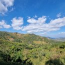 산들여행사 | 껄로 트레킹 뷰포인트 물항아리 예오 녹차 미얀마 자유여행 후기