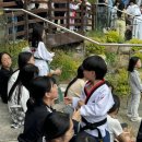 초심, 처음태권도 이미지