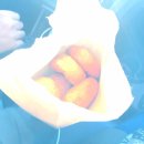 자미당 장학점