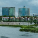 초원의 빛 이미지