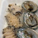 공룡알 팬션 횟집 | 영흥도횟집 공룡수산횟집 회포장 후기