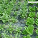 한울농원 이미지