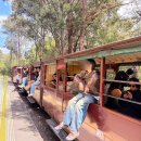 주식회사 마루정보통신 | 호주 여행 일정 추천! 멜버른 퍼핑빌리 기차 내돈내산 후기 모음