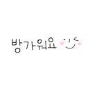 (주)어니스트초이스 이미지