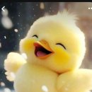 Beautiful Umar Keyn _ Merci Beaucoup 이미지
