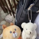 에버랜드 샤이니랜드💎/판다월드🐼/주토피아🦊🦩