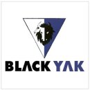 블랙야크 ( BLACKYAK ) 케브라배색 냉감 슬림핏 팬츠 - k2 ( URBAN LIFE)플라이워크 어반 라이프 카고 팬츠 이미지
