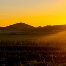 동트는 아침 이미지