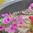 춘천여자고등학교 이미지