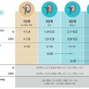 보드미동물병원 이미지