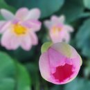 도현이네 농장 이미지