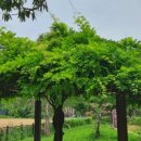 기억앤기억 이미지