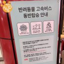 반려견 | 반려견동반 국내여행/전라남도 여수) 반려견동반 여수여행 정보_반려견동반 고속버스_여수 반려견동반...