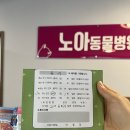 신도안동물병원