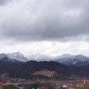 황실오리 이미지