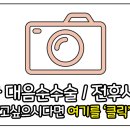 분당 헤스티아 여성의원 이미지