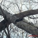 자작농장 이미지