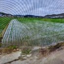 석정초교 이미지