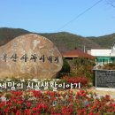 입암1리마을회관 이미지