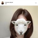 조은헤어샵 이미지