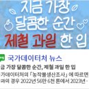 2024년 운수업조사 결과(잠정)(물류산업통계 포함) 이미지