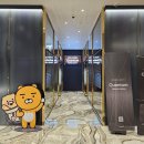 스크린 이미지