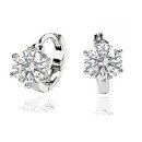 다이아소프트 이미지