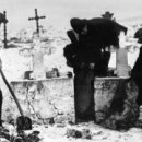 농업회사법인 유한회사 우리농장 이미지