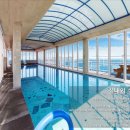 아라가온 이미지