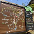 카페좌구산 다나우토바 이미지