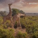 꿈터장애인주간보호센터 네이버블로그