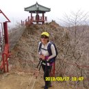 예쁜여우 이미지