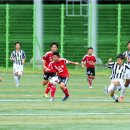 축구센터2,3구장 이미지