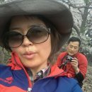 십리벚꽃산장 네이버블로그